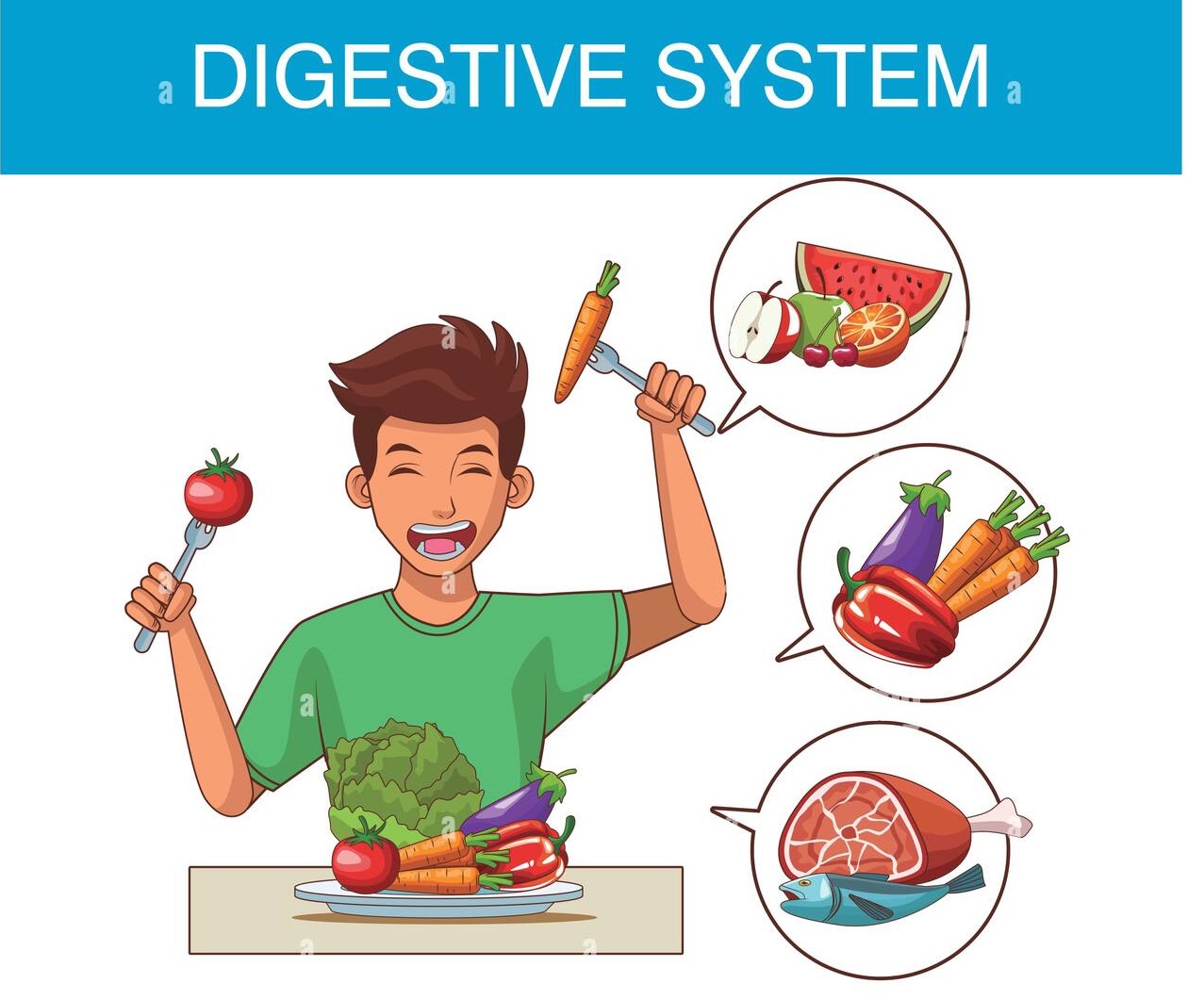 You are currently viewing The Digestive System